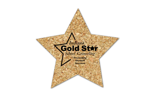 Star Cork Coaster 4ST