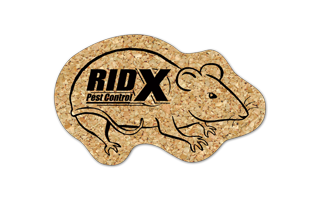 Rat/Mouse Cork Coaster