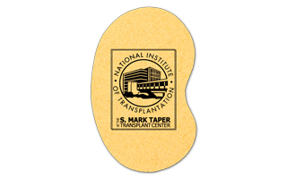 Kidney Compressed Sponge