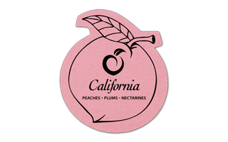 Peach Compressed Sponge 4PC