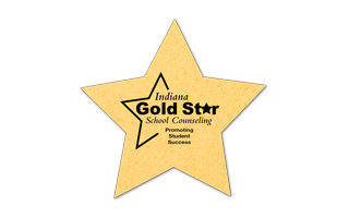 Star Compressed Sponge 4ST