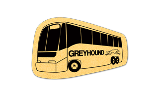 Bus Compressed Sponge