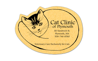 Cat Compressed Sponge