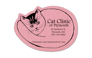 Cat Compressed Sponge