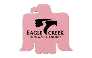 Eagle Compressed Sponge