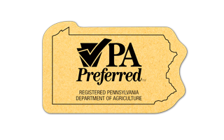 Pennsylvania Compressed Sponge