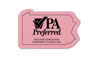 Pennsylvania Compressed Sponge