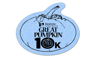 Pumpkin Compressed Sponge