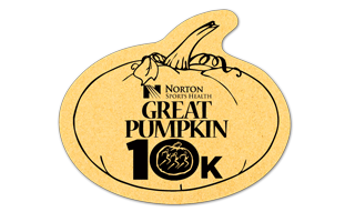 Pumpkin Compressed Sponge