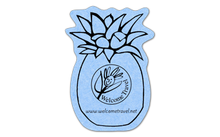 Pineapple Compressed Sponge