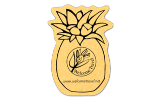 Pineapple Compressed Sponge