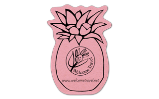 Pineapple Compressed Sponge