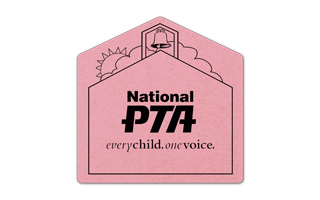 Schoolhouse Compressed Sponge