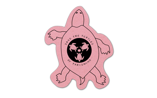 Turtle Compressed Sponge