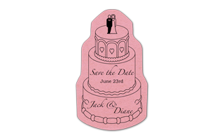 Wedding Cake Compressed Sponge