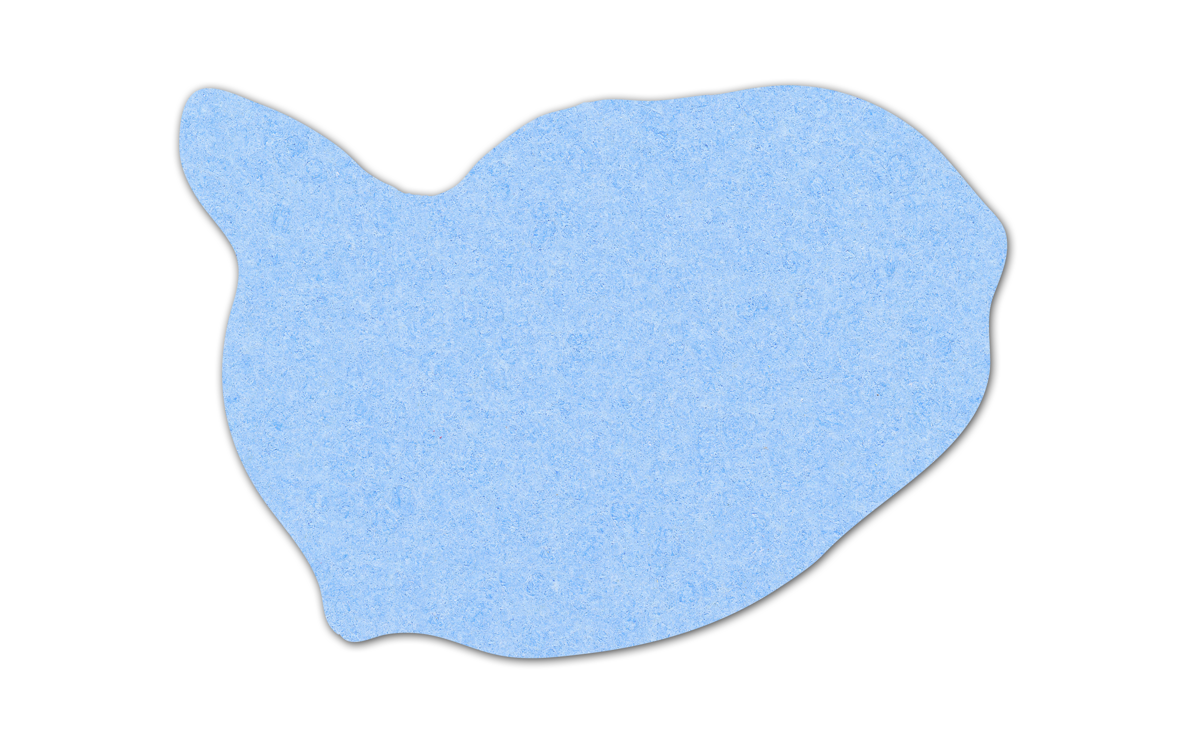 Whale Compressed Sponge 25