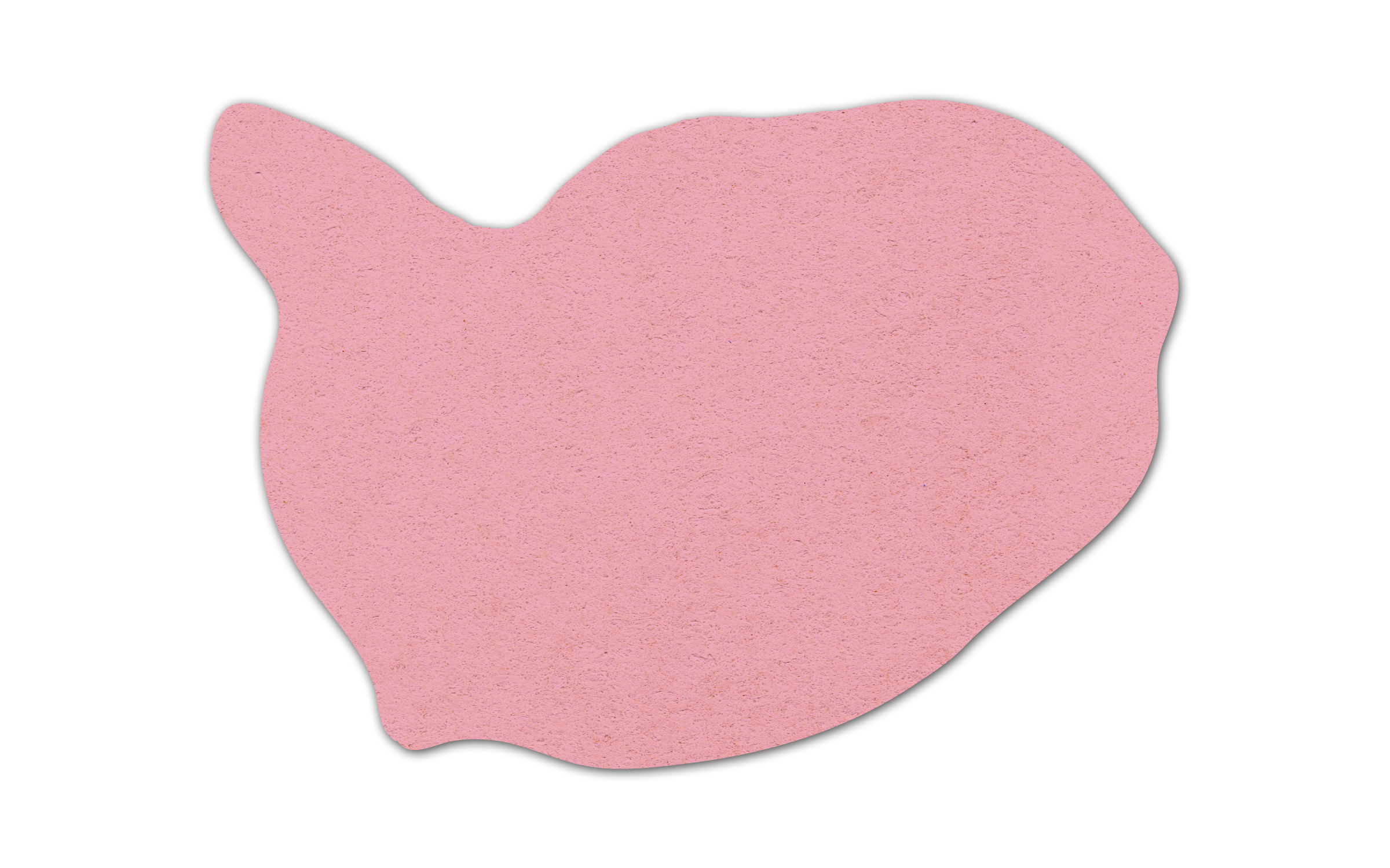 Whale Compressed Sponge 26