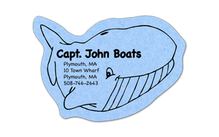 Whale Compressed Sponge