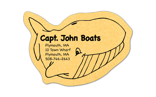 Whale Compressed Sponge