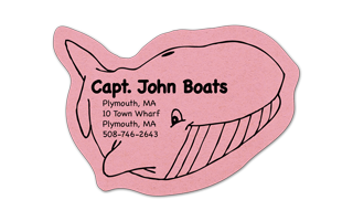 Whale Compressed Sponge