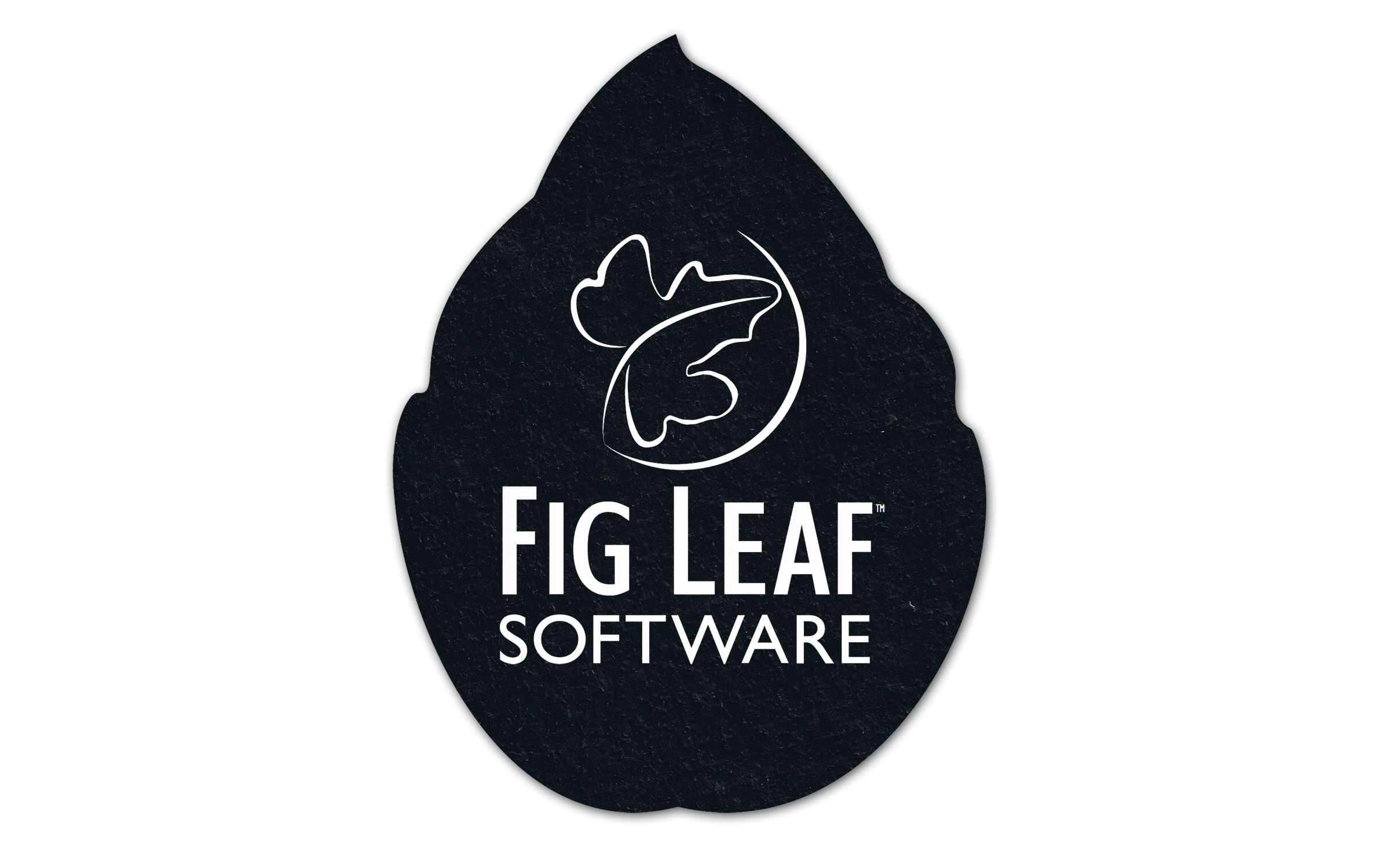 Leaf Flat Tire Coaster 10