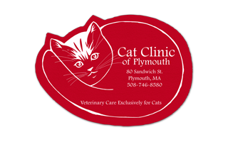 Cat Rubber Jar Opener