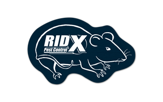 Rat/Mouse Rubber Jar Opener