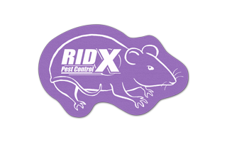 Rat/Mouse Rubber Jar Opener