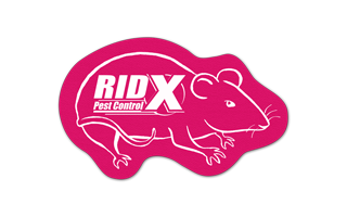 Rat/Mouse Rubber Jar Opener