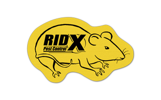 Rat/Mouse Rubber Jar Opener