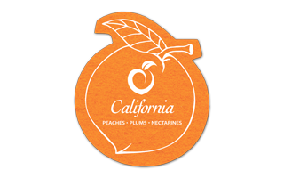 Peach Shammy Coaster