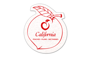 Peach Shammy Coaster