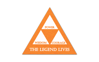 Triangle Shammy Coaster