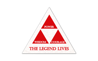 Triangle Shammy Coaster