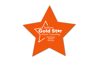 Star Vinyl Jar Opener 4ST