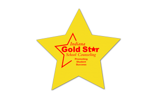 Star Vinyl Jar Opener 4ST