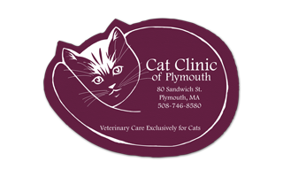 Cat Vinyl Jar Opener