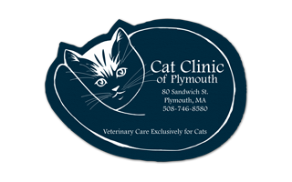 Cat Vinyl Jar Opener