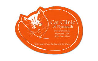 Cat Vinyl Jar Opener