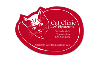 Cat Vinyl Jar Opener