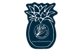 Pineapple Vinyl Jar Opener