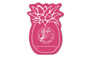 Pineapple Vinyl Jar Opener