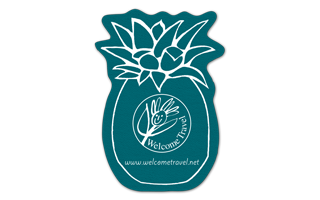 Pineapple Vinyl Jar Opener