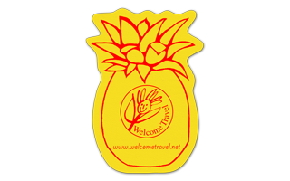 Pineapple Vinyl Jar Opener