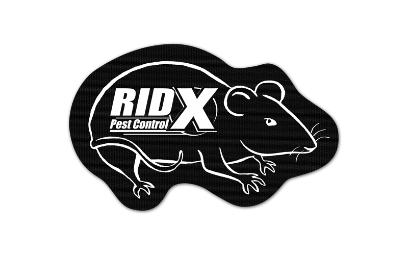 Rat/Mouse Vinyl Jar Opener 110