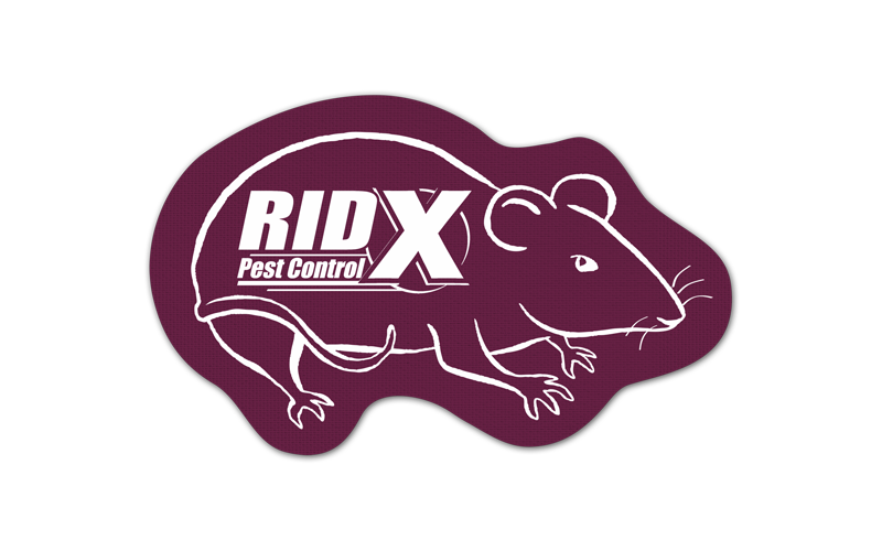 Rat/Mouse Vinyl Jar Opener 114