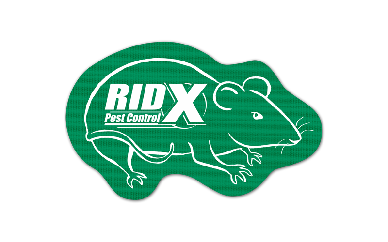 Rat/Mouse Vinyl Jar Opener 111