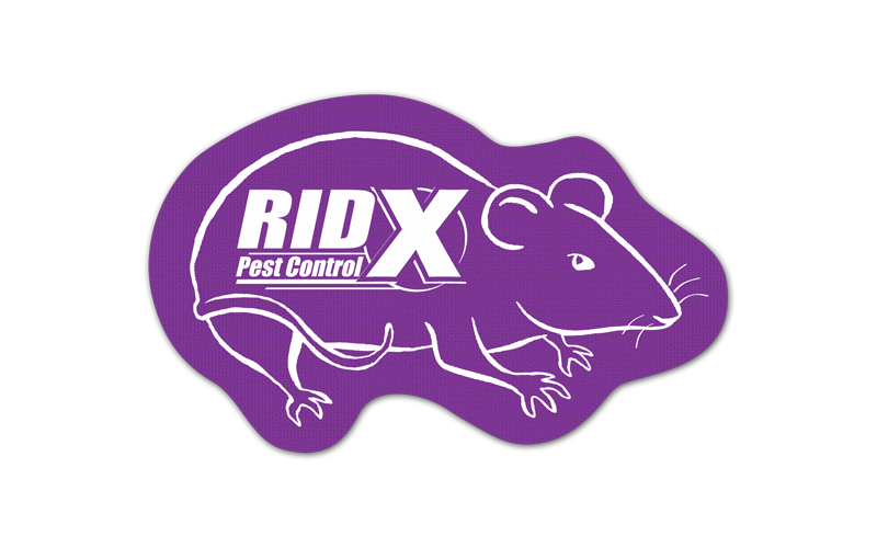 Rat/Mouse Vinyl Jar Opener 115