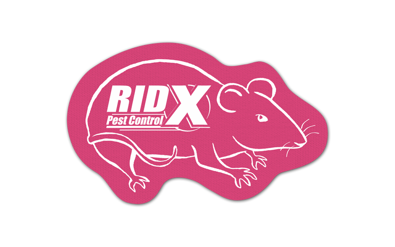 Rat/Mouse Vinyl Jar Opener 112