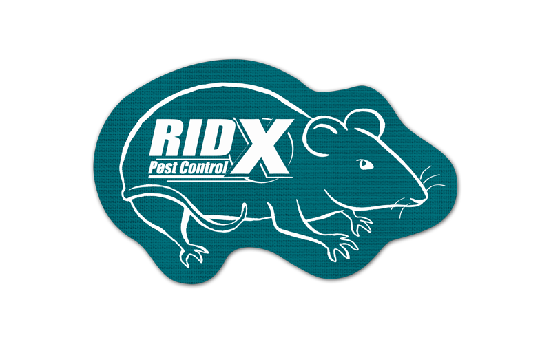 Rat/Mouse Vinyl Jar Opener 113